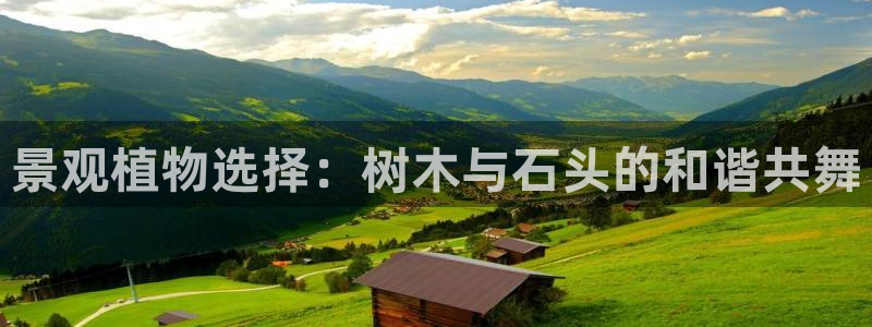 菲律宾新宝gg娱乐