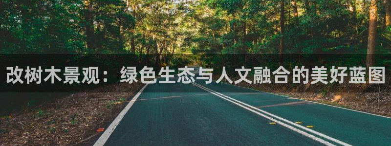 新宝gg平台怎么样