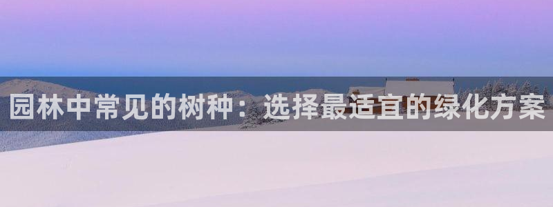 新宝gg平台怎么样