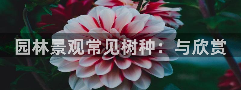 新宝gg娱乐首页