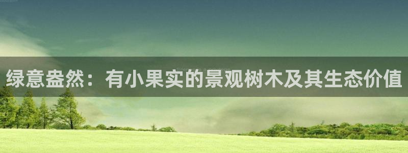 怎么代理新宝gg