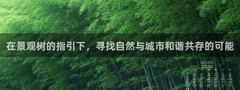 新宝gg游戏平台
