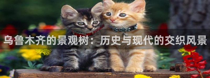 新宝6娱乐新宝gg