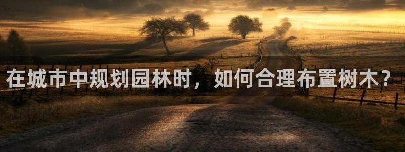 新宝gg最新章节