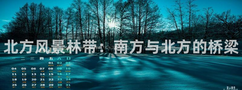 新宝gg平台连接