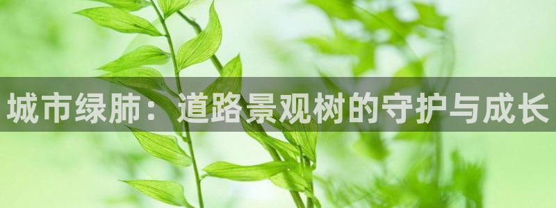 新宝gg最新章节