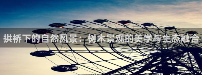 新宝gg金砖彩票