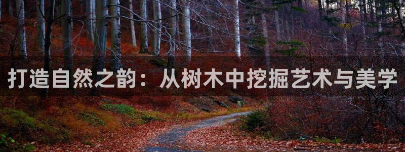 新宝gg找回账号