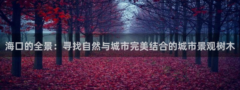 新宝gg客户端下载