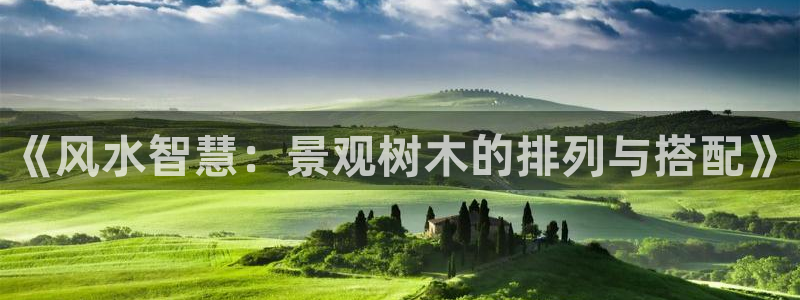 新宝gg软件下载