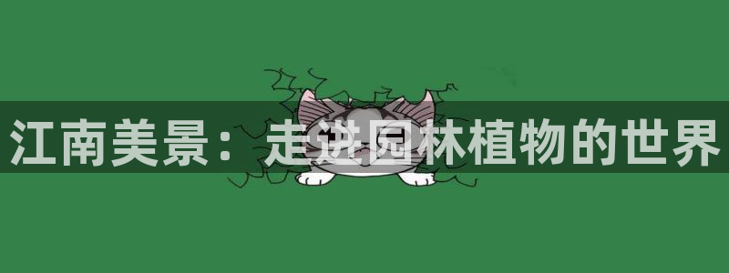 新浪新闻新宝gg