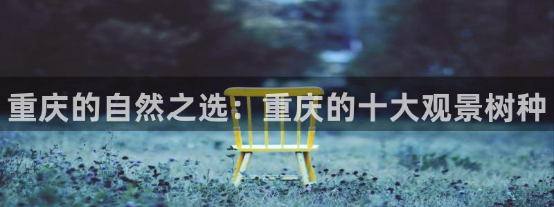 新宝gg主管、:重庆的自然之选:重庆的十大观景树种