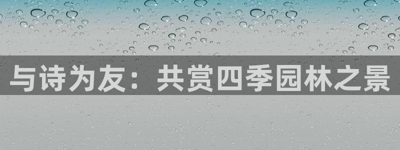 新宝gg客服电话