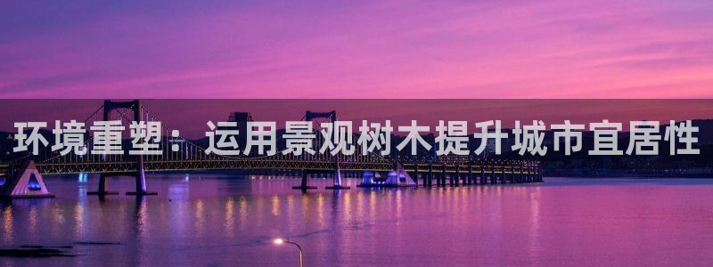 新宝gg怎样代理