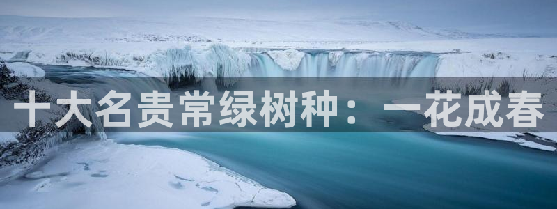 新宝GG娱乐下载