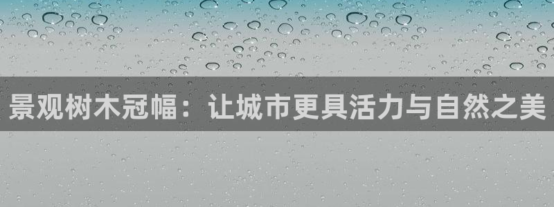 新宝gg首页平台