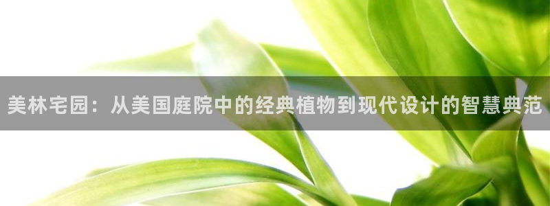 新宝gg网赚
