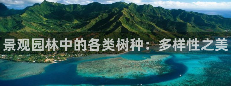 新宝GG类别78778