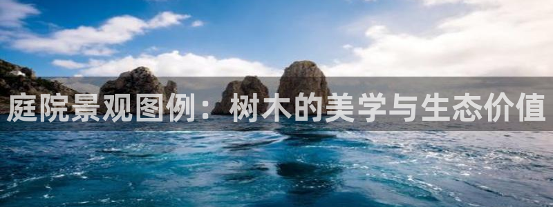 新宝gg如何代理