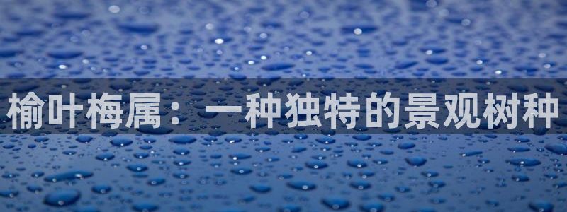 新宝gg首页