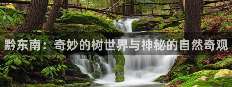 新宝gg投注