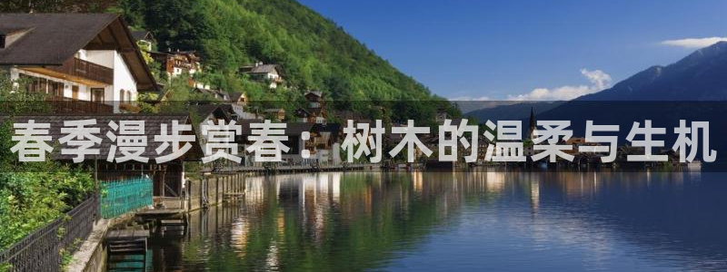 gg新宝