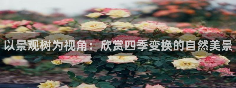 下载新宝gg怎么下载
