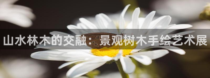 关于新宝GG：山水林木的交融：景观树木手绘艺术展