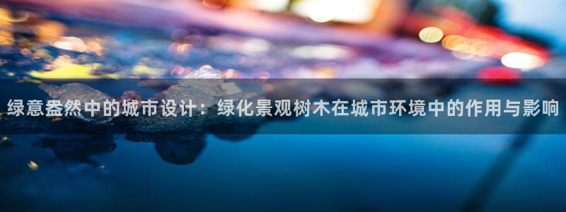 新宝 gg 下载