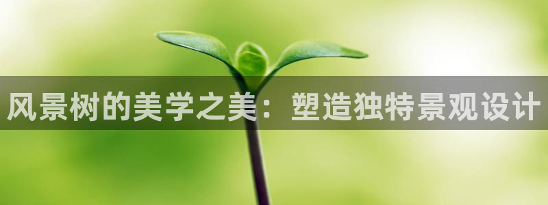 新宝GG娱乐-上皇巢网