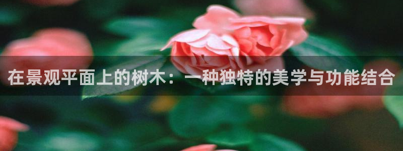 vip新宝gg