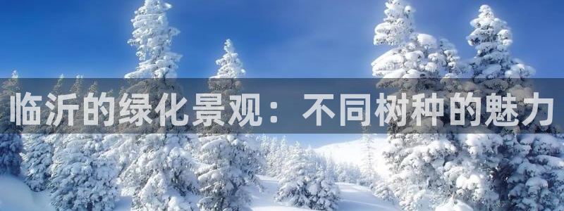 新宝gg创造奇迹