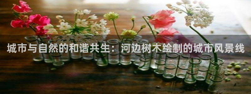 新宝gg创造奇迹 新宝gg