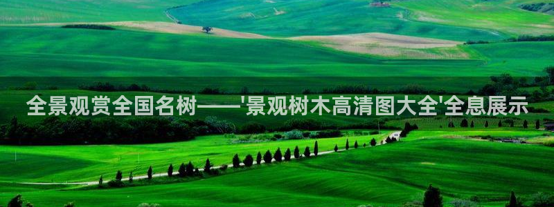 新宝gg主管花木兰：全景观赏全国名树——\'景观树木高清图大全\'全息展示