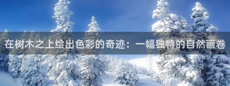 新宝gg辅助：在树木之上绘出色彩的奇迹：一幅独特的自然画卷