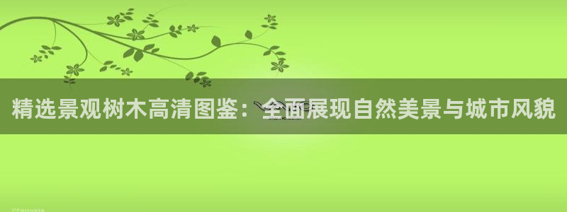 新宝gg线路