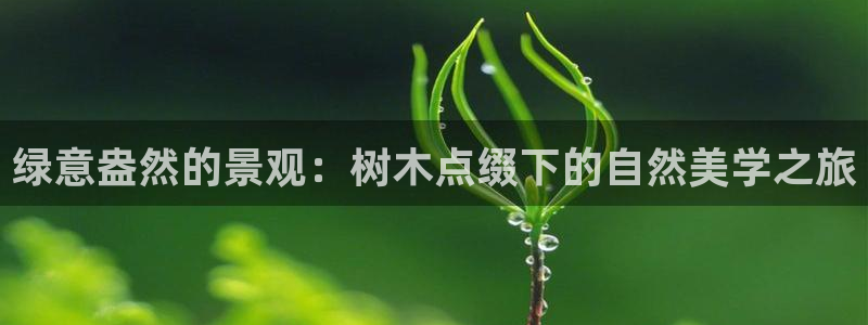 新宝gg什么