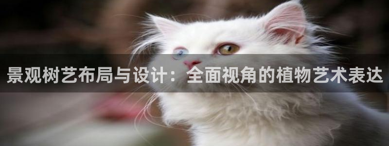 新宝gg创造奇迹：景观树艺布局与设计：全面视角的植物艺术表达